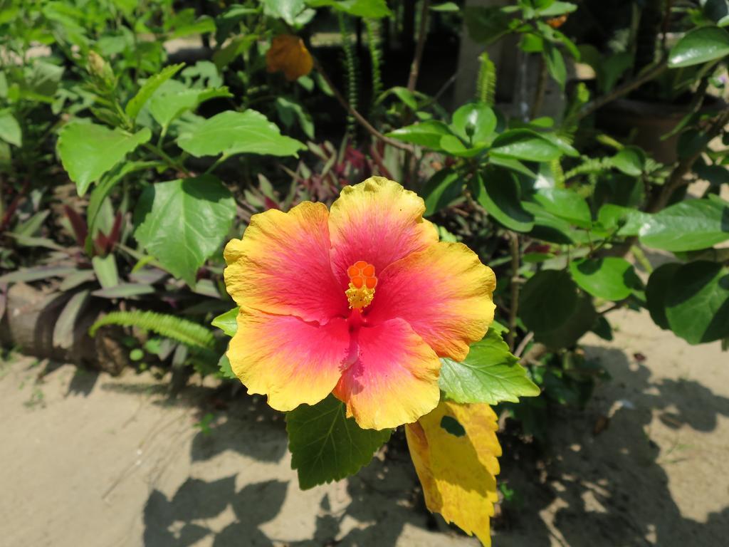 Bangbaobeach Resort Csang-sziget Kültér fotó